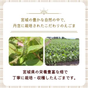 宮城県産 えごまパウダー 130g 調味料 ふ...の詳細画像3