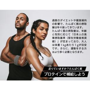 ホエイプロテイン ナチュラル 3kg 国内製造...の詳細画像5
