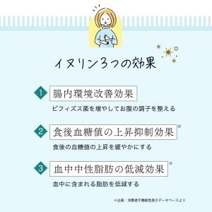 イヌリン 500g 食物繊維 水溶性食物繊維 ...の詳細画像3