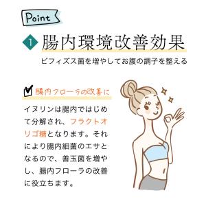 イヌリン 500g 食物繊維 水溶性食物繊維 ...の詳細画像4