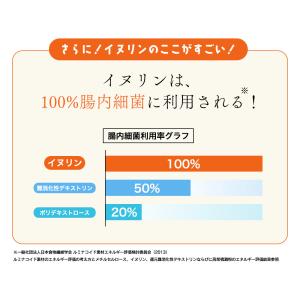 イヌリン 500g 食物繊維 水溶性食物繊維 ...の詳細画像5