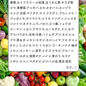 金の酵素青汁 132g(3g×44包) 青汁 ...の詳細画像5