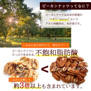 素焼き ピーカンナッツ 200g ナッツ 無添...の詳細画像2