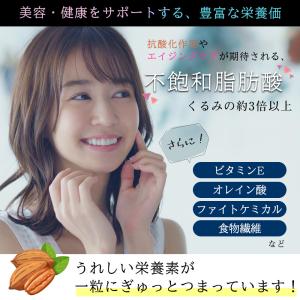 素焼き ピーカンナッツ 200g ナッツ 無添...の詳細画像3
