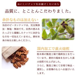 素焼き ピーカンナッツ 200g ナッツ 無添...の詳細画像4