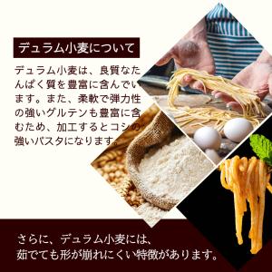 管理栄養士監修 生パスタ リングイーネ 4人前...の詳細画像5
