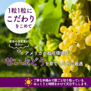 トンプソンレーズン 900g ノンオイル 無添...の詳細画像3