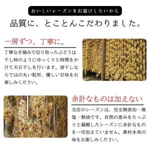 トンプソンレーズン 900g ノンオイル 無添...の詳細画像4