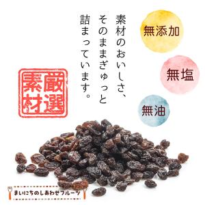 トンプソンレーズン 900g ノンオイル 無添...の詳細画像5