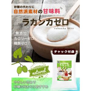 ラカンカゼロ 950g ラカンカ 羅漢果 ダイ...の詳細画像1