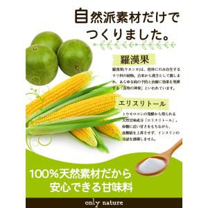 ラカンカゼロ 950g ラカンカ 羅漢果 ダイ...の詳細画像3