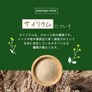 サイリウムハスク オオバコ 500g 国内製造...の詳細画像2