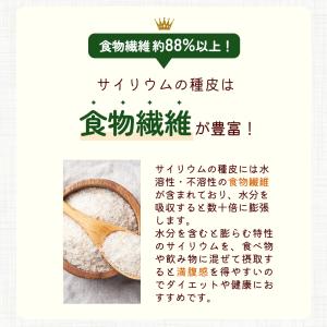 サイリウムハスク オオバコ 500g 国内製造...の詳細画像4