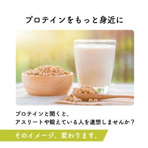 無添加 ソイプロテイン プロテイン ナチュラル...の詳細画像4
