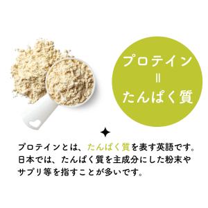 無添加 ソイプロテイン プロテイン ナチュラル...の詳細画像5