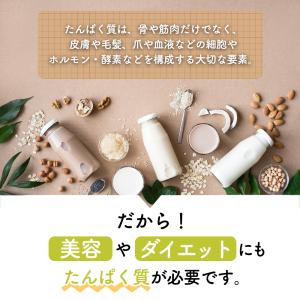 無添加 ナチュラル ソイ プロテイン 3kg(...の詳細画像5