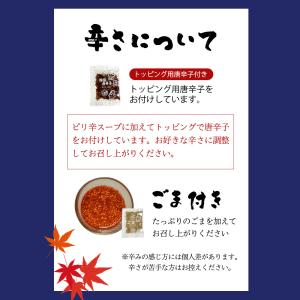 広島つけ麺 4食セット ごま&唐辛子付 ラーメ...の詳細画像5