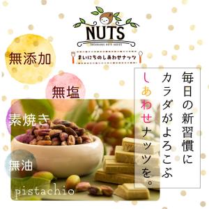 殻なし ピスタチオ 500g 素焼き 無塩 無...の詳細画像1