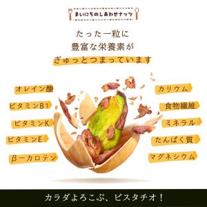殻なし ピスタチオ 500g 素焼き 無塩 無...の詳細画像4
