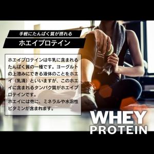 ホエイプロテイン 1kg 選べる (ココア/ベ...の詳細画像5