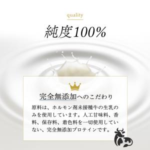 WPI ホエイプロテイン 3kg プロテイン ...の詳細画像3