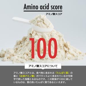 WPI ホエイプロテイン 3kg プロテイン ...の詳細画像5