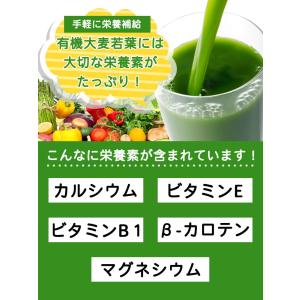 有機JAS認証 有機大麦若葉 230g 無添加...の詳細画像3