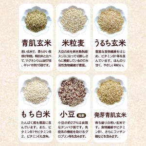 国産 30穀米 920g 雑穀米 穀物 30種...の詳細画像5
