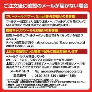 9/11-13 ポイント5倍 ルノー (REN...の詳細画像3