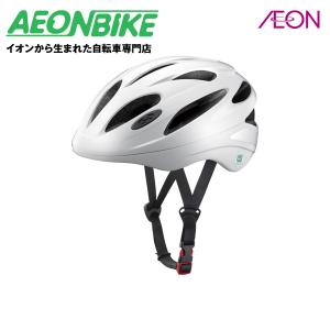 OGKヘルメット 送料無料 オージーケーカブト (OGK Kabuto) SN-13XL ホワイトムジ 59