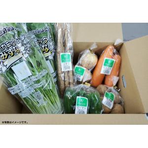 オーガニック野菜セット