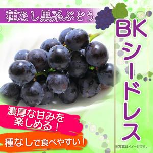 熊本県産 ぶどう 3色セット 計約1.4kg ...の詳細画像3