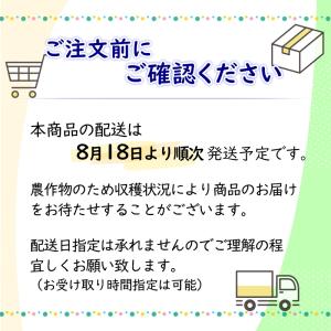 熊本県産 ぶどう 3色セット 計約1.4kg ...の詳細画像5
