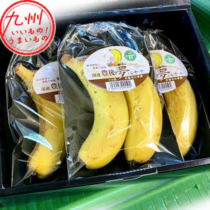 喜界島産 島バナナ 小笠原種 無農薬 自然栽培 希少フルーツ 南国の濃厚