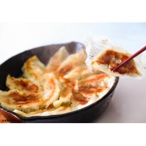 鹿児島産黒豚入り生餃子 ビッグファイブ