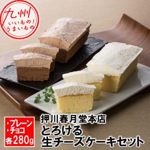 押川春月堂本店　とろける生チーズケーキセット