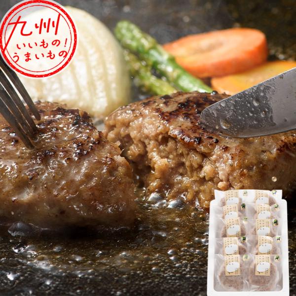 ながさきふわとろハンバーグ 10個入