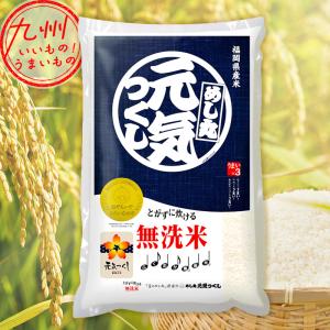 令和5年産 福岡県産 無洗米 金のめし丸 元気つくし 5kg｜aeonkyushu-umaimono