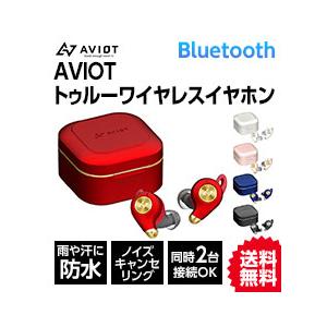 AVIOT アビオット ワイヤレスイヤホン Bluetooth ノイズキャンセリング 防水 マルチポイント 通話 トゥルーワイヤレスイヤホン TE-D01q2 送料無料