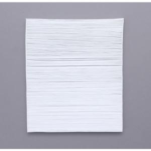 IRIS OHYAMA（アイリスオーヤマ） （FU-250CX・FU-G250CX専用）空気