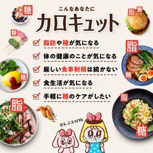 脂肪や糖の吸収を抑える ダイエットサポートサプ...の詳細画像3