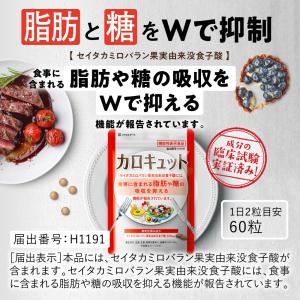脂肪や糖の吸収を抑える ダイエットサポートサプ...の詳細画像5