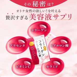 コラーゲン サプリ たっぷり贅沢コラーゲン&ヒ...の詳細画像5