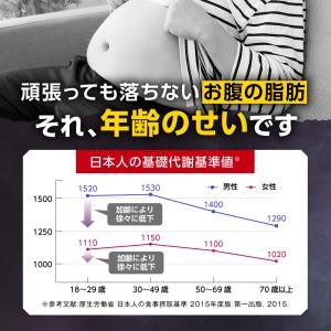 フラムジンジャー 機能性表示食品 腹部の脂肪(...の詳細画像3