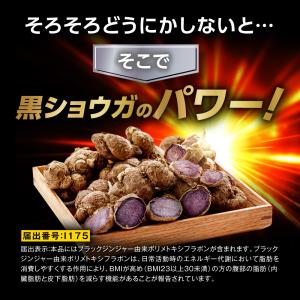 フラムジンジャー 機能性表示食品 腹部の脂肪(...の詳細画像4