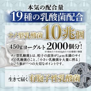 乳酸菌 サプリメント 乳酸菌10兆個 ビフィズ...の詳細画像3