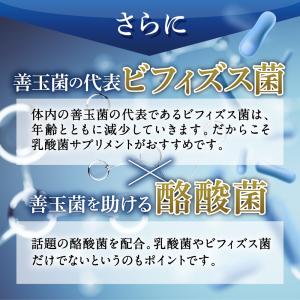 乳酸菌 サプリメント 乳酸菌10兆個 ビフィズ...の詳細画像4
