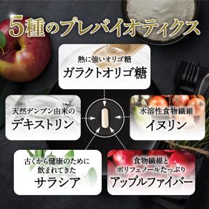 乳酸菌 サプリメント 乳酸菌10兆個 ビフィズ...の詳細画像5