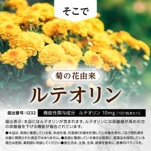 尿酸値 尿酸 菊の花由来 ルテオリン サプリメ...の詳細画像5