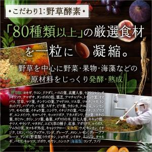 酵素 サプリ 穀物麹と野草のうるおい生酵素 コ...の詳細画像4